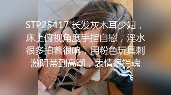 网调小母狗 骚的不行