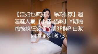 无水印[MP4/330M]1/10 眼镜伪娘起共渡良宵魅魔套装潮吹加成感觉有点停不下VIP1196