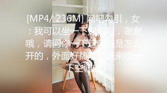 [MP4/ 236M] 网吧勾引，女：我可以坐一下这边吗，谢谢哦，请问你一下这电脑是怎么开的，外面好热哦，进来吹一下空调的