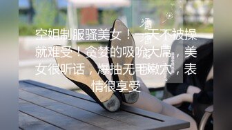 酒店偷会丰满人妻炮友