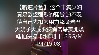 マシン姦通！ 調教バイブメイデン