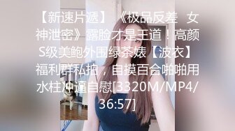 大神爆操三人行蜜臀网袜骚货 想插的冲动3P小美女[MP4/664MB]