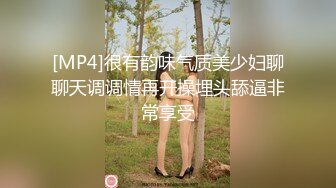 [MP4]很有韵味气质美少妇聊聊天调调情再开操埋头舔逼非常享受