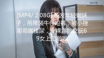 双马尾女仆想在主人的胯下依偎