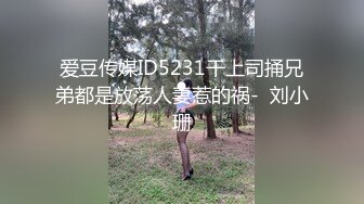 爱豆传媒ID5231干上司捅兄弟都是放荡人妻惹的祸-  刘小珊