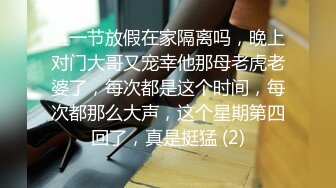 国产麻豆AV MDX MDX0034 空降女优陪你激情过春节 性感旗袍女神 安娜