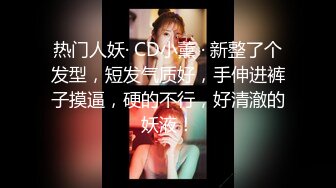 ✨【重度BDSM】韩国巅峰女S「Yerin」OF重度调教私拍 男女奴一边做爱一边受刑，大幅超越常规调教