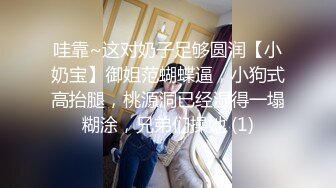 [MP4]MM088 麻豆传媒 无套系列 下流母狗羞耻露出 吴梦梦 VIP0600