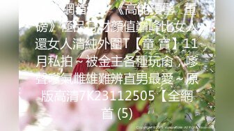 [MP4/ 746M]&nbsp;&nbsp;顶级性爱极限推荐外围女神猎杀者91斯文禽兽震撼首发-双飞豪乳情趣丝袜美少妇 高潮篇