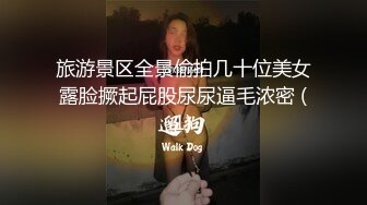 旅游景区全景偷拍几十位美女露脸撅起屁股尿尿逼毛浓密 (1)