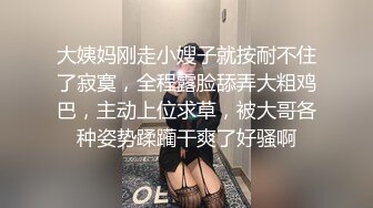 极品骚货，发骚实录，对话清晰