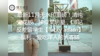 【精品推荐】Transexjapan中国TS『masem小乐』岛国拍摄系列超清原版14部合集 (4)