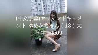 91经典系列资源整理合集P2【105V】 (29)