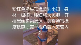 红灯区找女技师特殊服务，极品风骚御姐，很会调情骚话多，抓着大屌吸吮，撩起裙子69姿势，撕开丝袜后入爆操肥臀