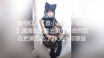 十月新流出私房大神极品收藏商场女厕全景后拍系列少妇.小姐姐一泄千里