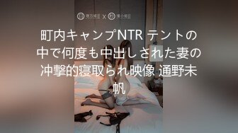 町内キャンプNTR テントの中で何度も中出しされた妻の冲撃的寝取られ映像 通野未帆