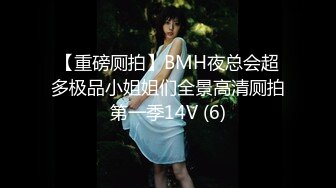 【重磅厕拍】BMH夜总会超多极品小姐姐们全景高清厕拍第一季14V (6)