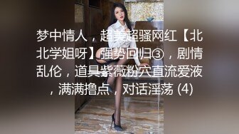 探界西门庆 美女你情我愿的就上了门