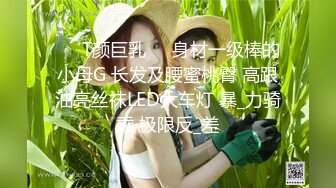 女友高清系列（第二部）