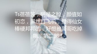 星空传媒XK8033房东怀了我的孩子北漂真苦软饭真香-何苗720P高清原版