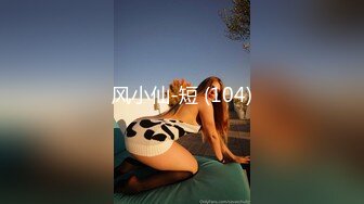 风小仙-短 (104)