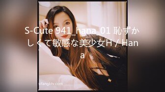 S-Cute 941_hana_01 恥ずかしくて敏感な美少女H／Hana