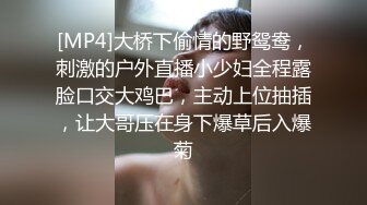 贺岁：女上后入之一