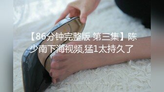 [MP4]性感旗袍伴娘最刺激的偷情 新婚伴娘还没出酒店就被操了 白皙性感蜂腰蜜桃臀暴力后入 性感旗袍高跟美腿颜值党福利