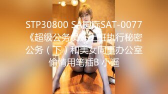 STP33147 小哥哥艾里第三视角 无码无删减