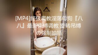 骚老婆日常2