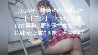 _2024年，推特约炮撩妹大神，【 十三少】，soul上勾搭的女导购，野外露营啪啪，可以肆无忌惮的叫床，无套内射中