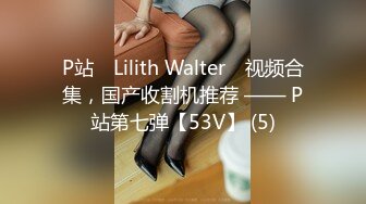 P站⭐ Lilith Walter ⭐视频合集，国产收割机推荐 —— P站第七弹【53V】 (5)