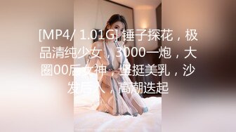 [MP4/ 1.01G] 锤子探花，极品清纯少女，3000一炮，大圈00后女神，坚挺美乳，沙发后入，高潮迭起